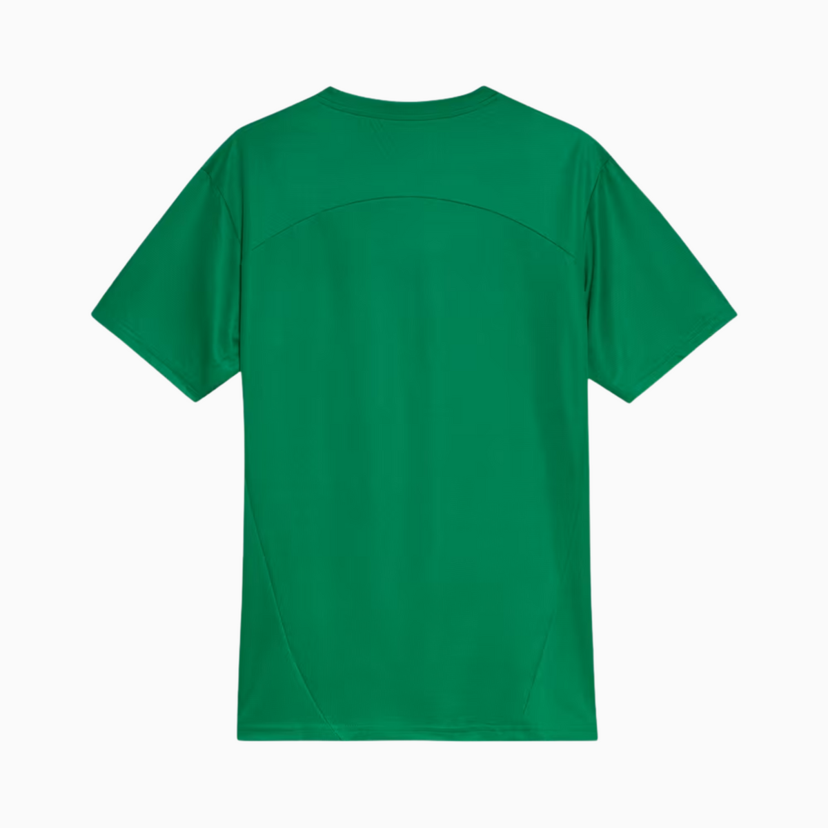 Camisa Palmeiras 2025 – Treino, vista de frente