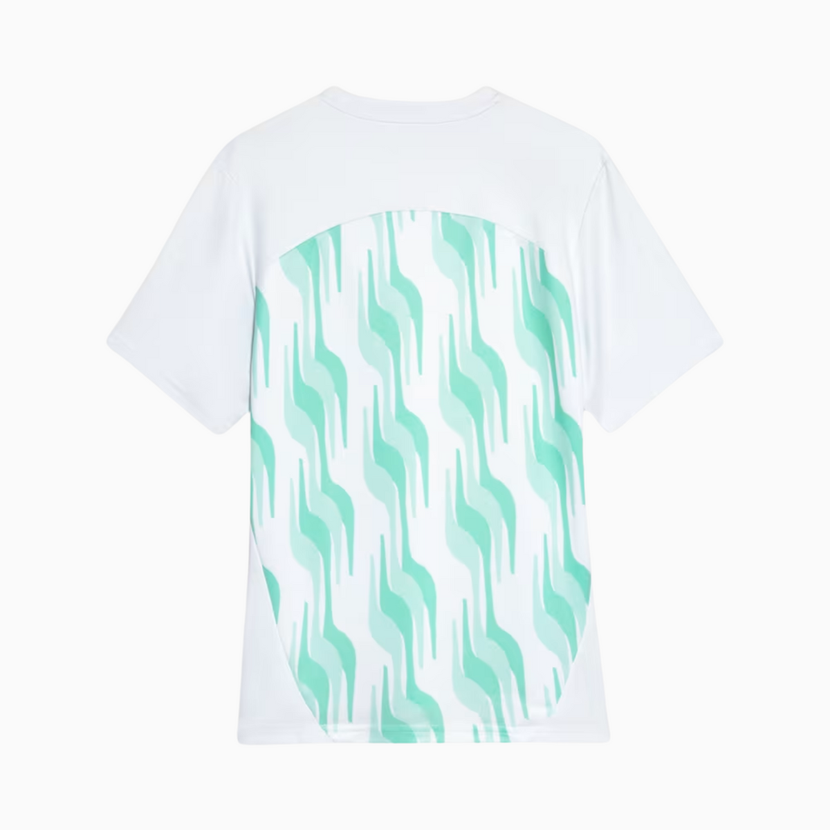 Camisa Puma Palmeiras 2025/26 Pré-Jogo, vista de frente