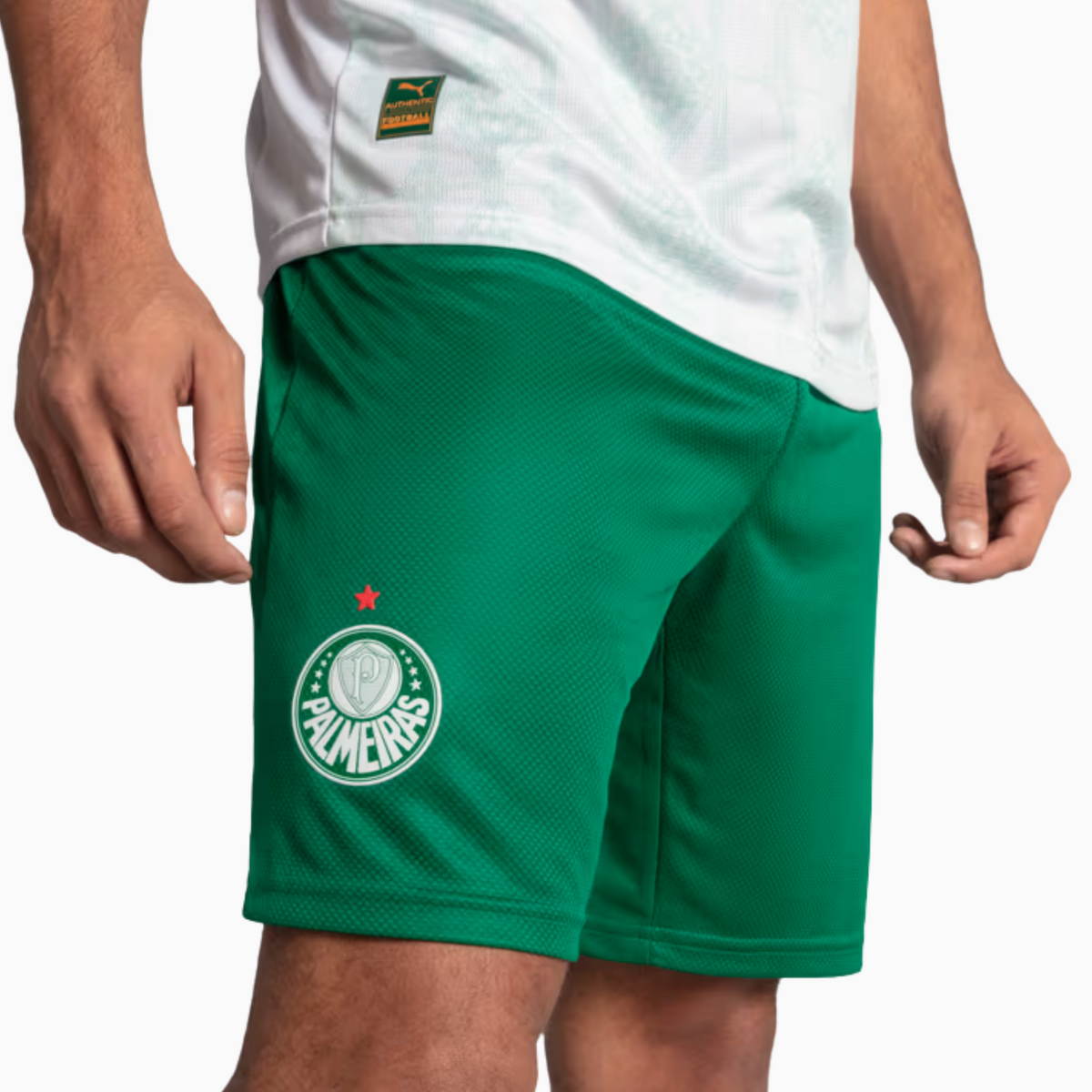 Shorts Palmeiras 2025 II – Torcedor, vista de costas
