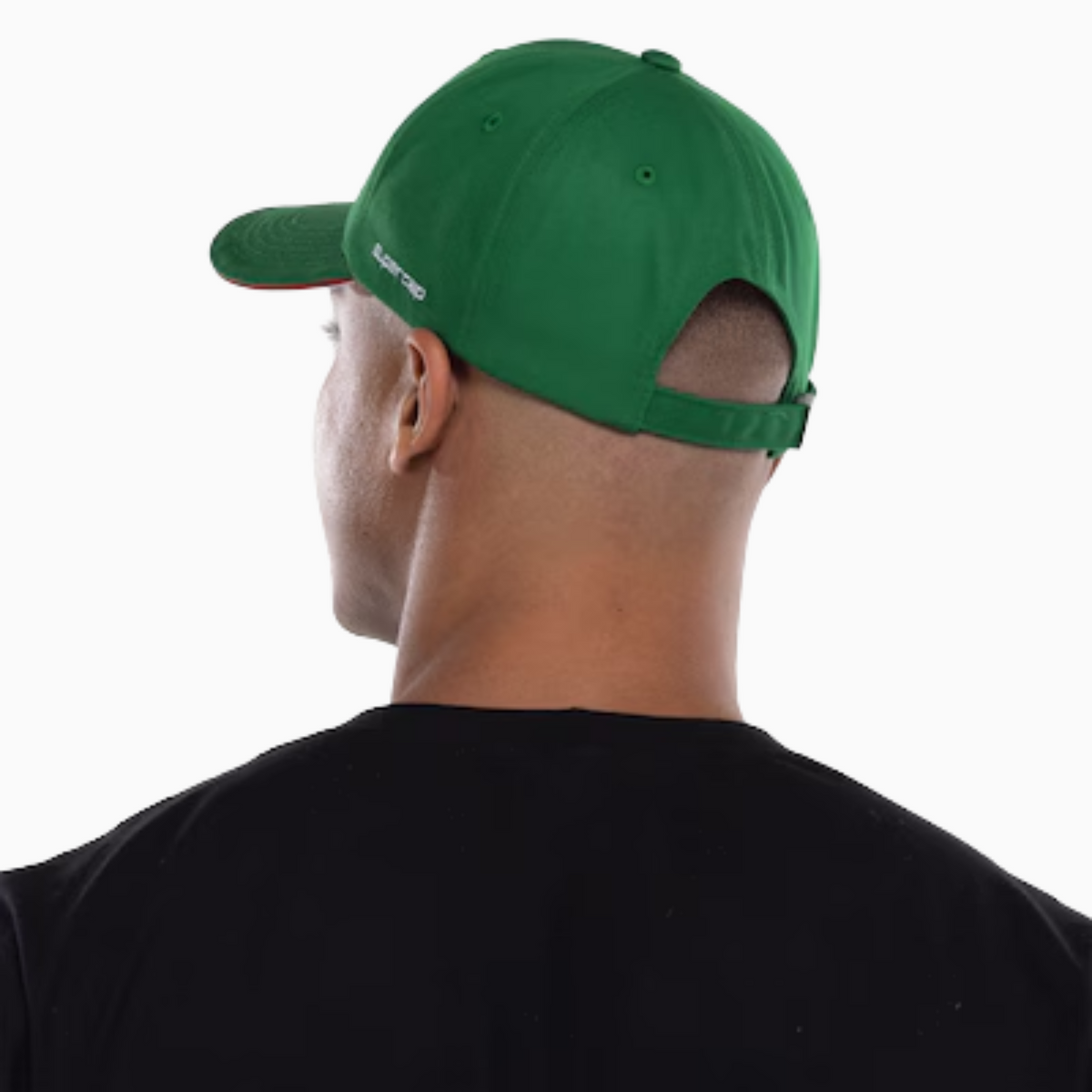 Boné Palmeiras Aba Curva Supercap – Adulto, detalhe do escudo