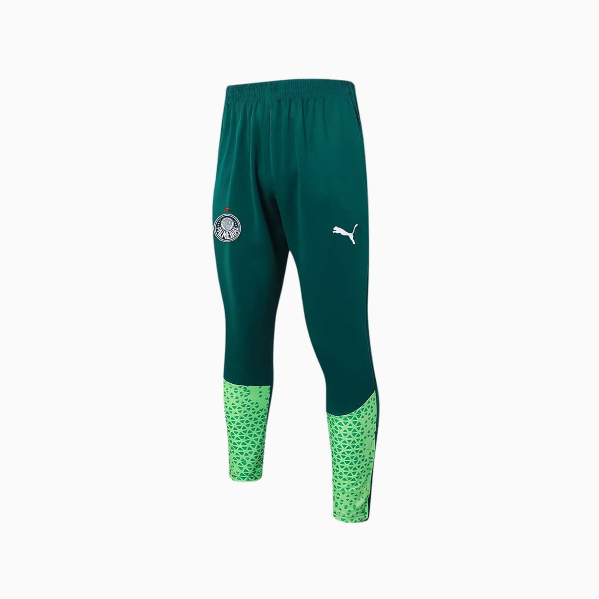 Conjunto de Treino Puma Palmeiras 2024/25 II – Masculino, vista de costas