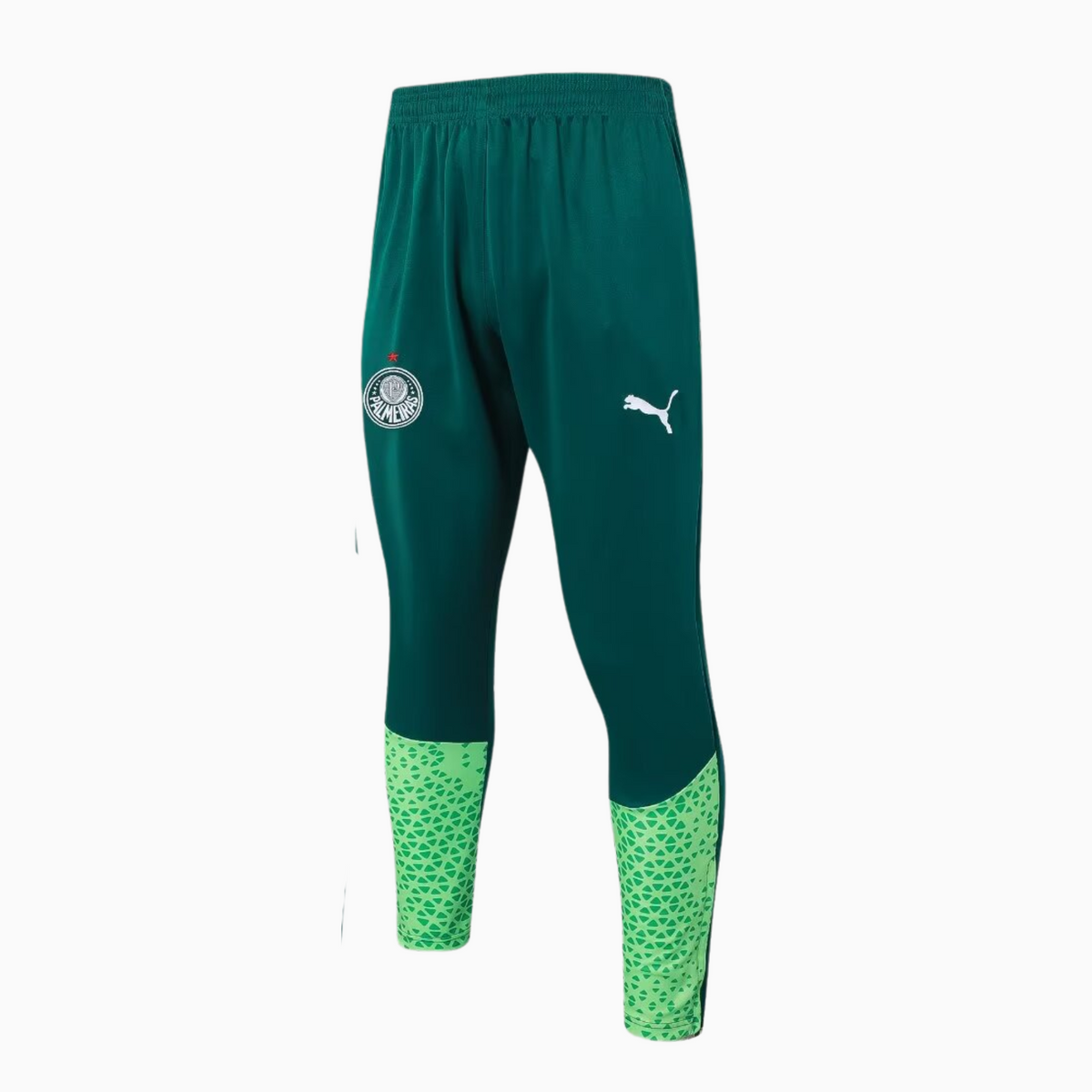 Conjunto de Treino Palmeiras 2024/25 I – Masculino, vista de costas