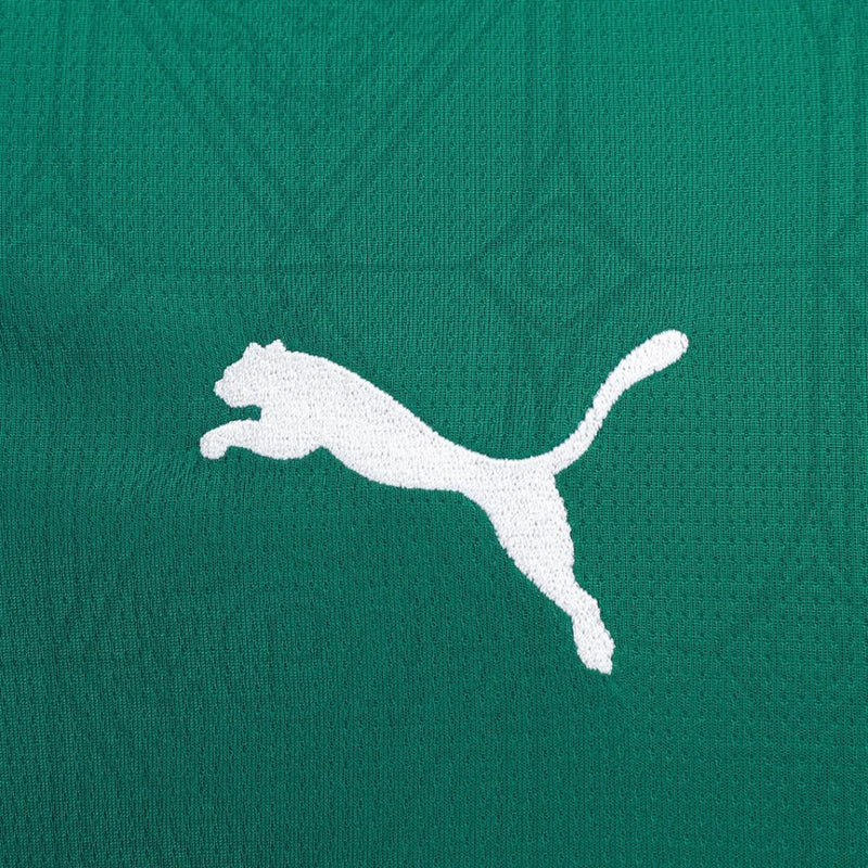 Lançamento Camisa Masculina Palmeiras I - 25/26