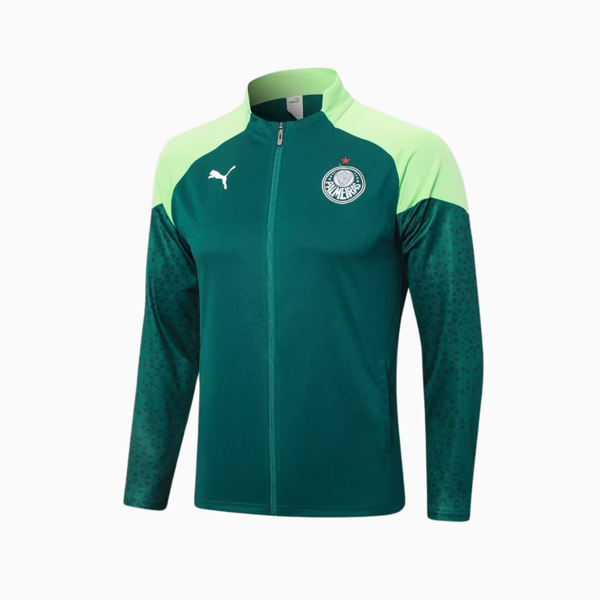 Conjunto de Treino Palmeiras 2024/25 I – Masculino, vista de frente