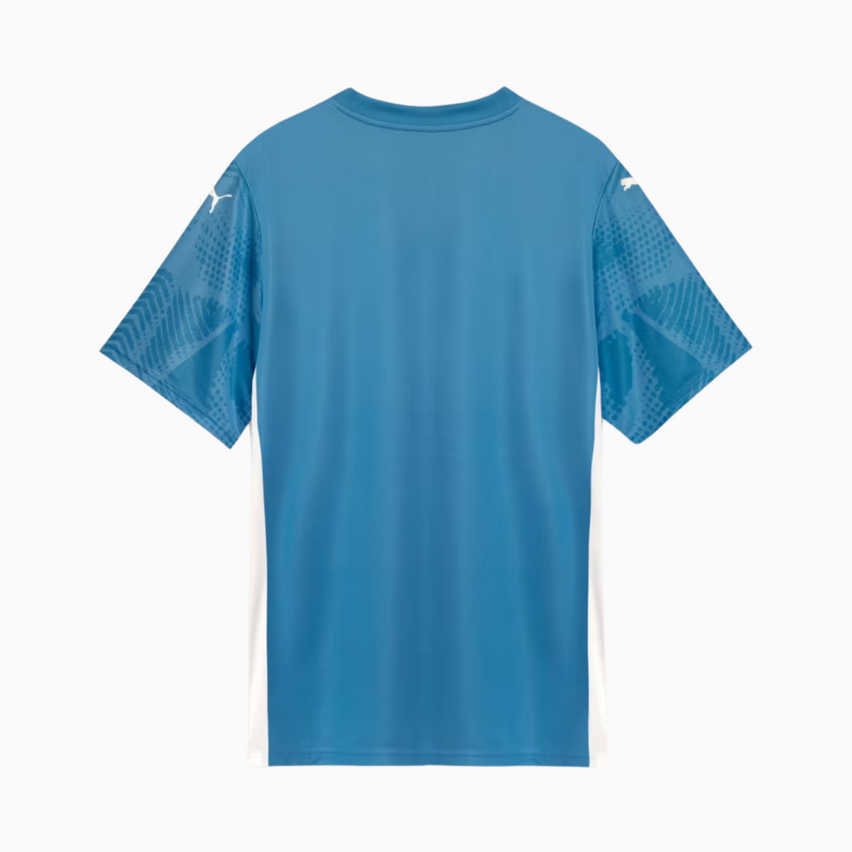 Camisa Goleiro Palmeiras 2025 I – Torcedor, vista de frente