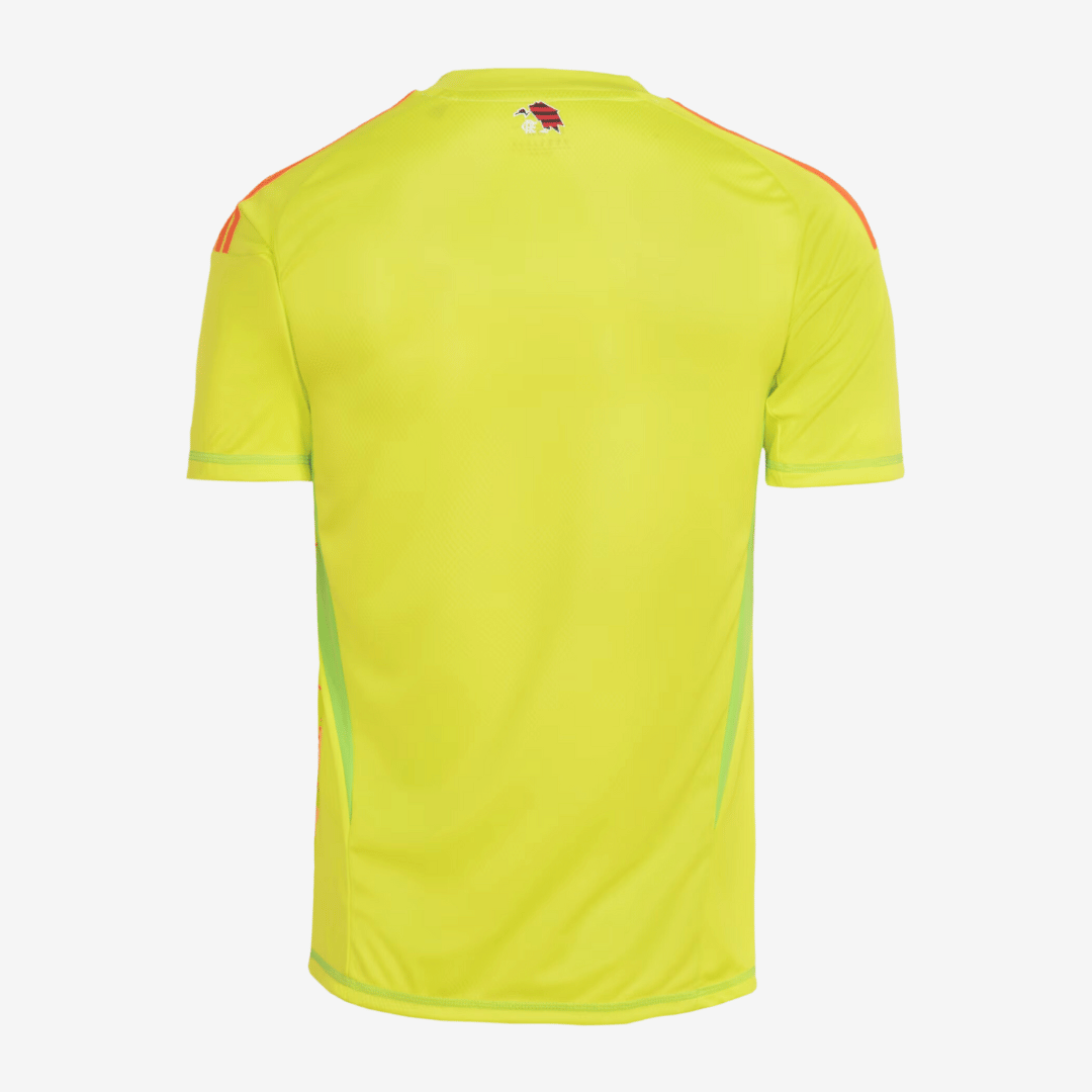 Camisa Adidas Flamengo 2025/26 I Goleiro, vista de frente