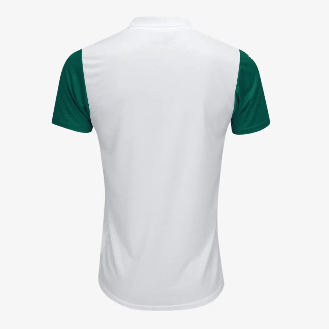 Camisa Puma Palmeiras 2025/26 II Jogador, vista de frente