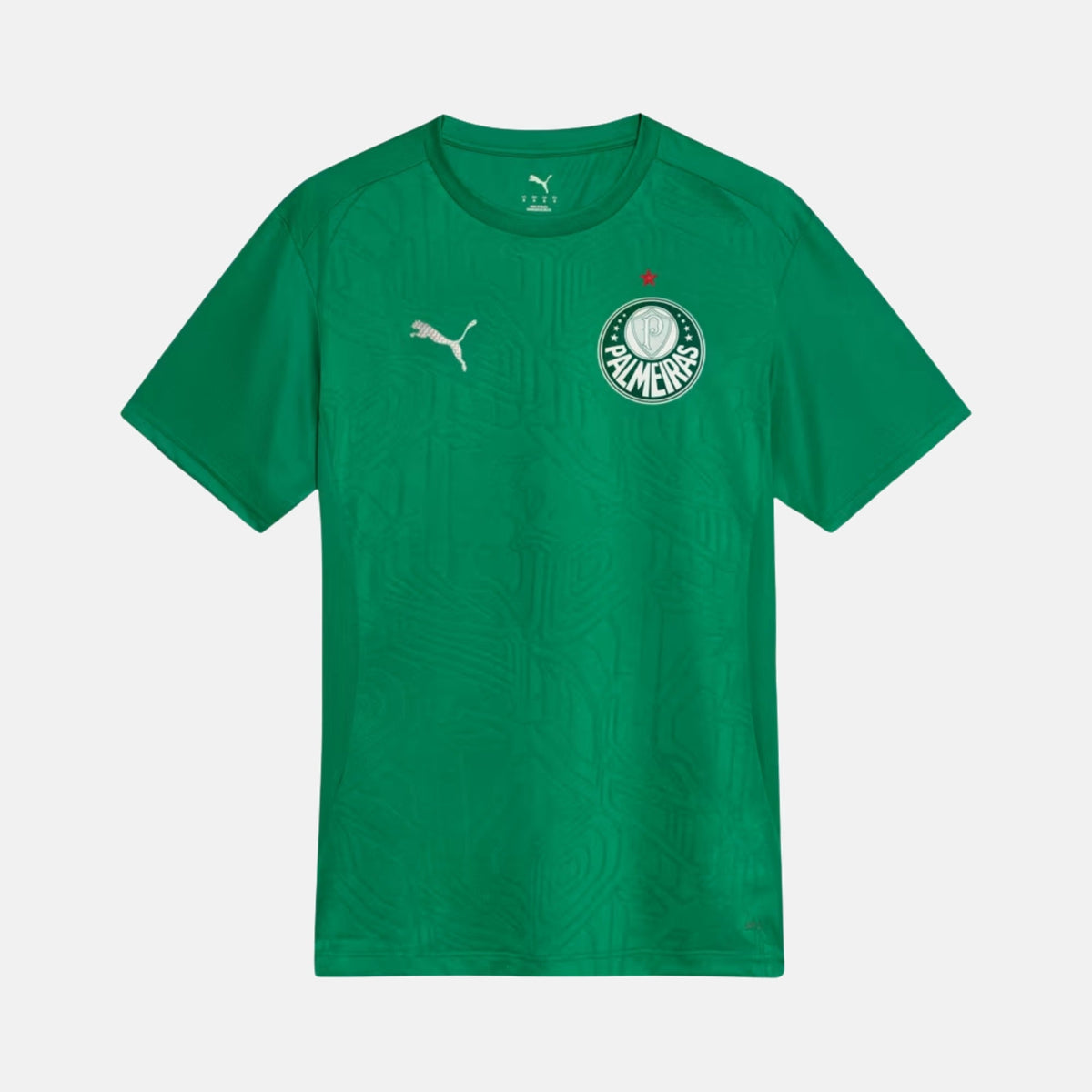 Camisa Palmeiras 2025 – Treino na TSN Sports