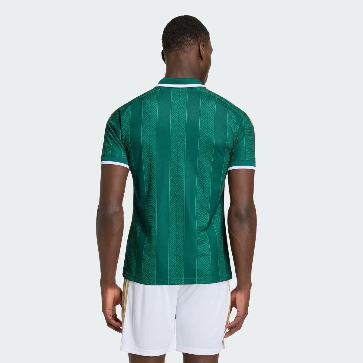 Camisa África do Sul 2026/27 I, vista de frente
