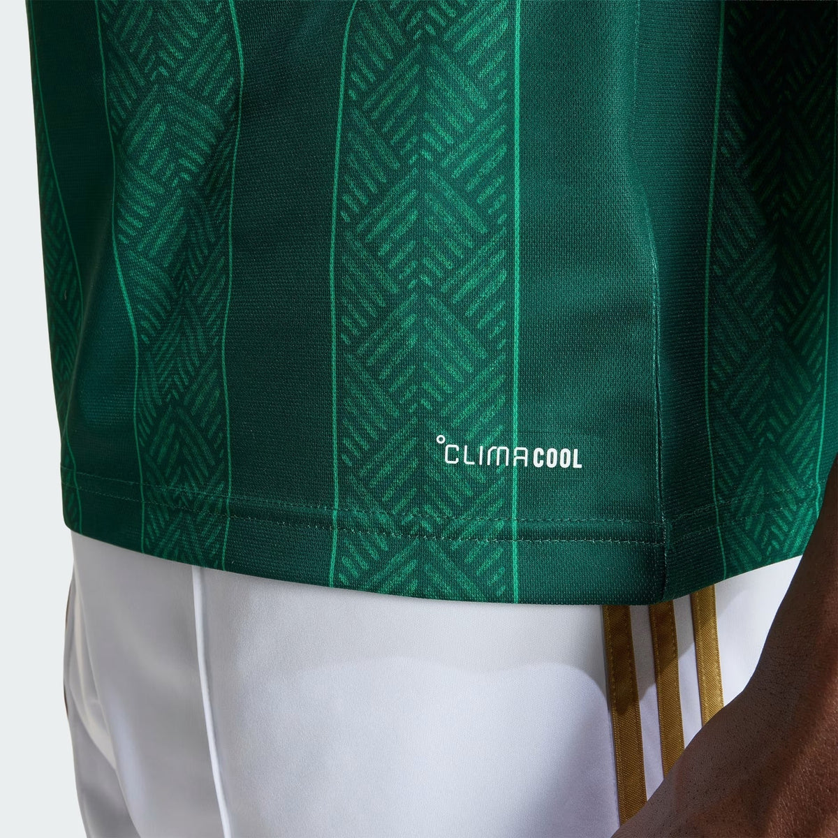Camisa África do Sul 2026/27 I, vista de costas