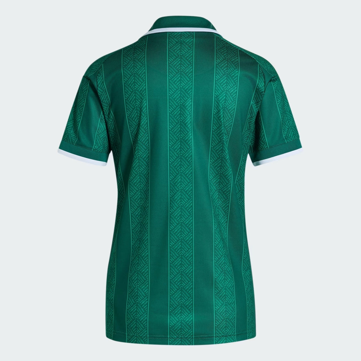Camisa Feminina África do Sul 2026/27 I, detalhe da gola
