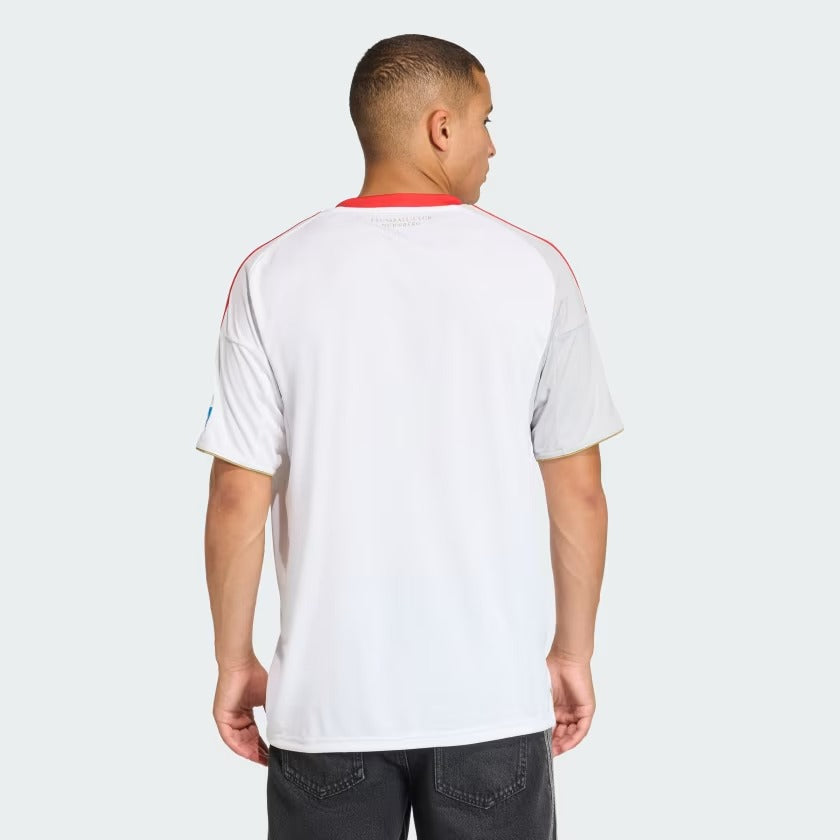 Camisa adidas 1. FC Nürnberg 2025/26 II na TSN Sports