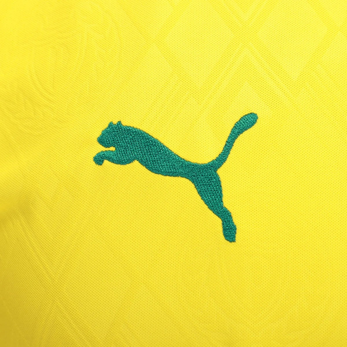 Camisa Puma Palmeiras 2025/26 III Torcedor na TSN Sports