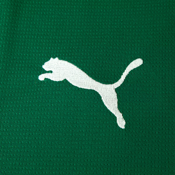 Camisa Puma Palmeiras 2026/27 I Jogador — imagem 5