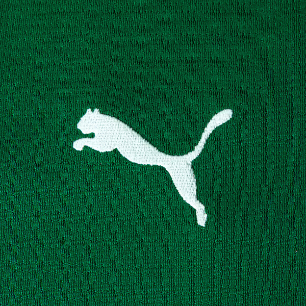 Conjunto Infantil Palmeiras 2026/27 I, detalhe da gola